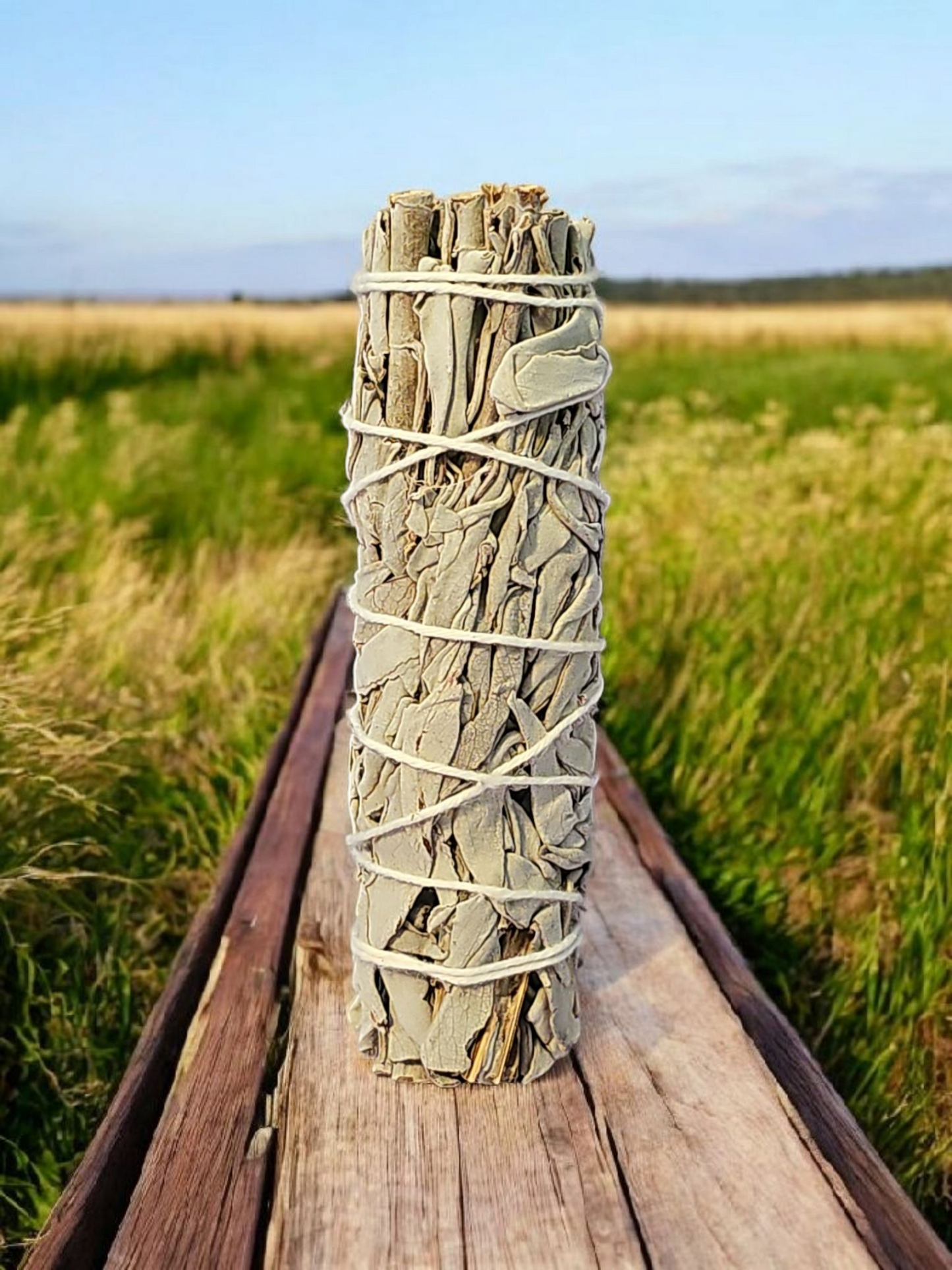White Sage