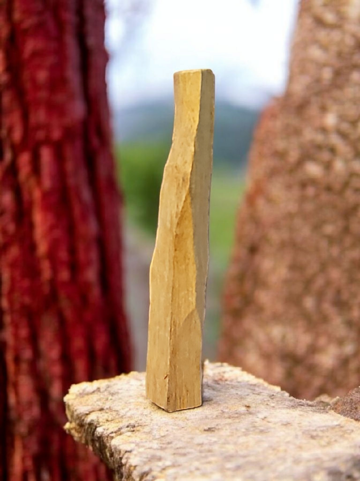 Palo Santo