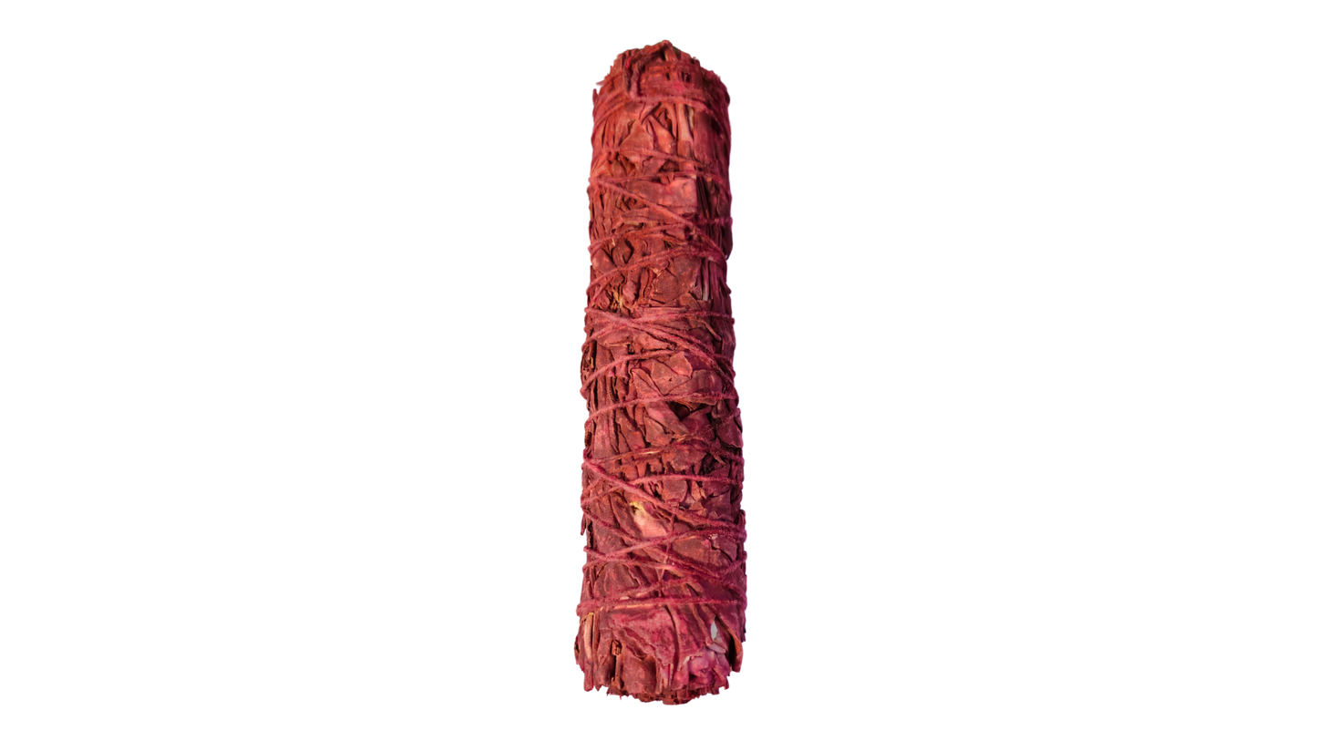 6" Dragons Blood White Sage