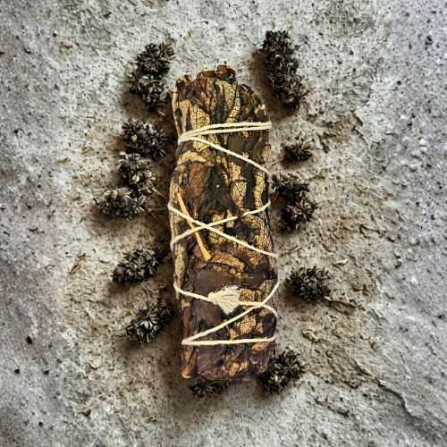 Black Sage