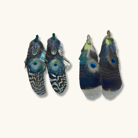 Assorted Peacock Feather Earrings
