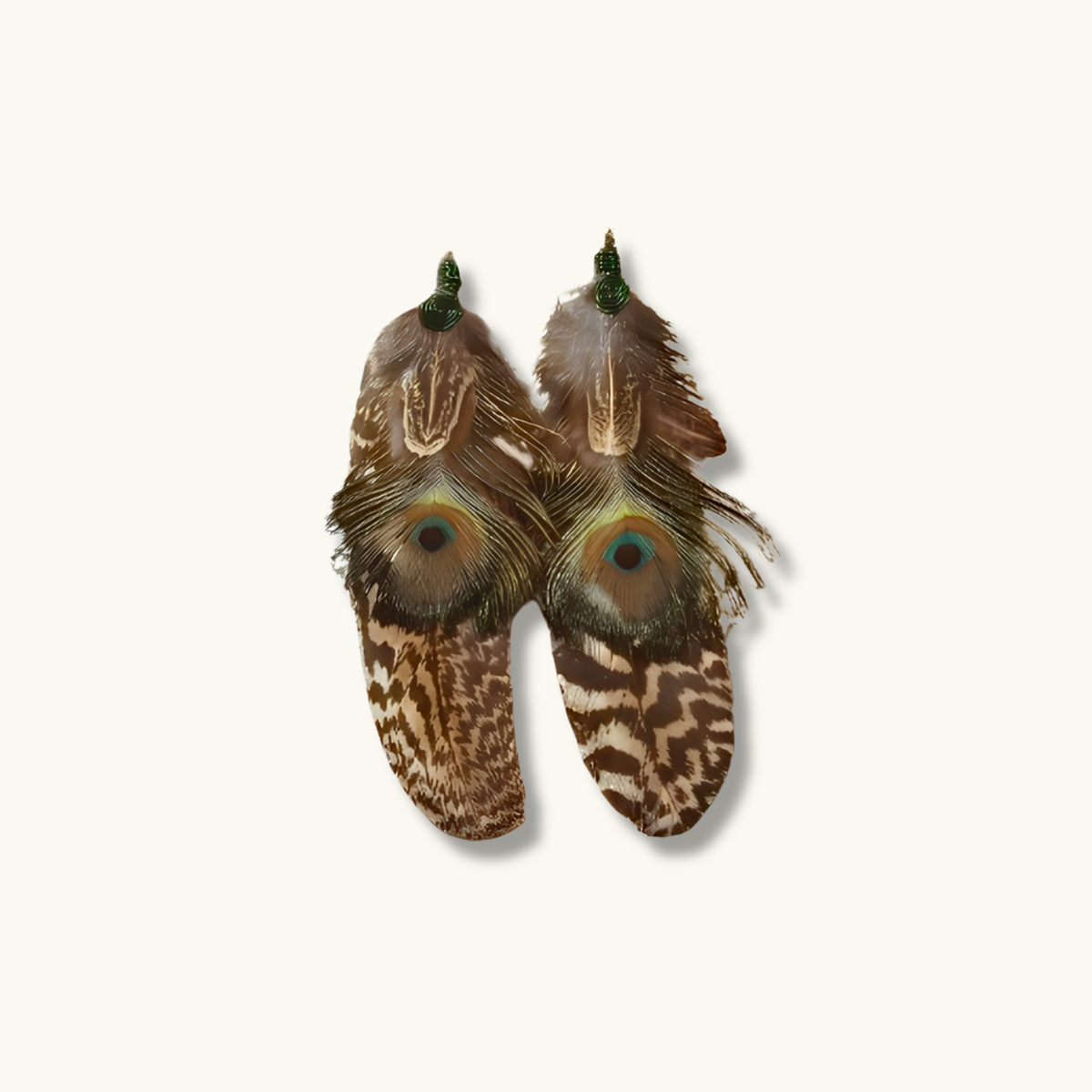 Assorted Peacock Feather Earrings