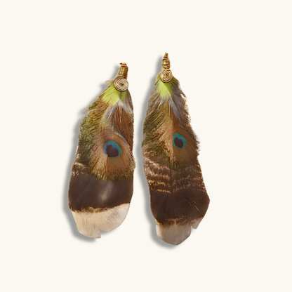 Assorted Peacock Feather Earrings