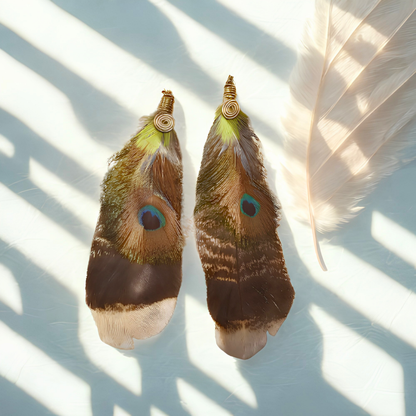 Assorted Peacock Feather Earrings