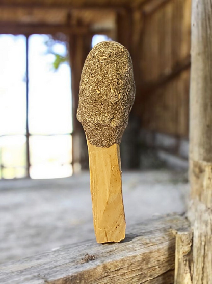 Blue Sage Palo Santo Pops