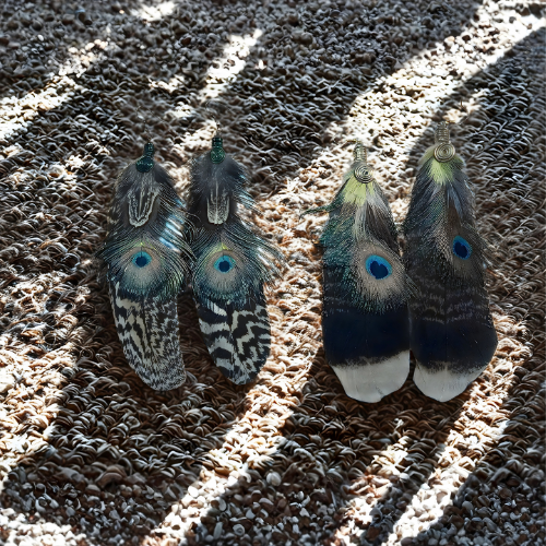 Assorted Peacock Feather Earrings