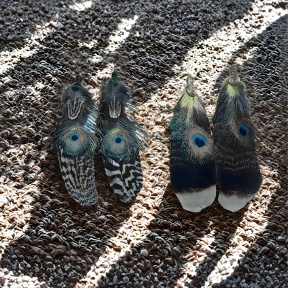Assorted Peacock Feather Earrings
